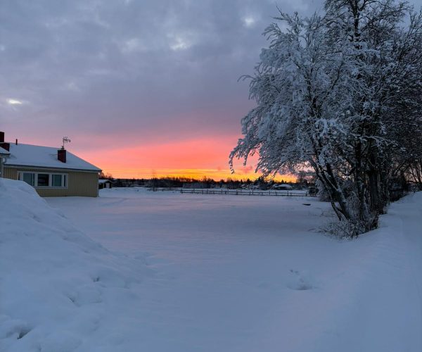 IMG-20260303-WA0013