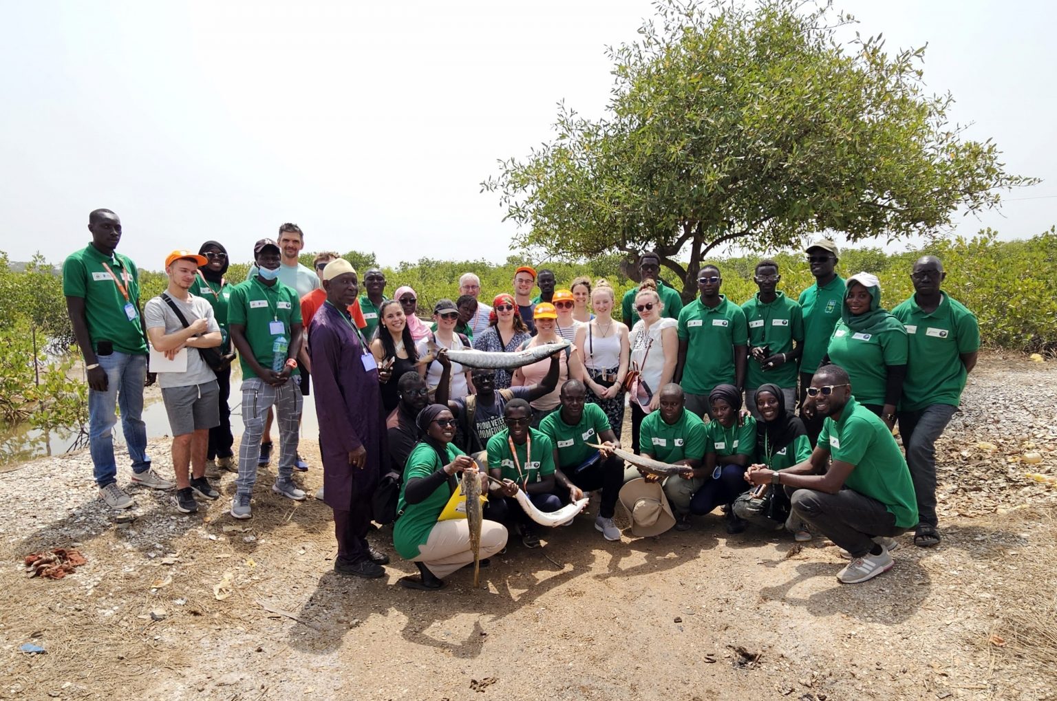 Voyage solidaire au Sénégal : nos élèves en immersion à Bignona