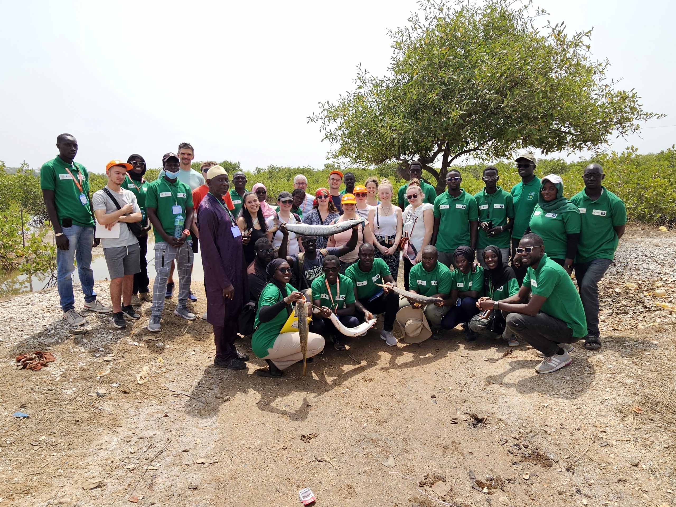 Voyage solidaire au Sénégal : nos élèves en immersion à Bignona
