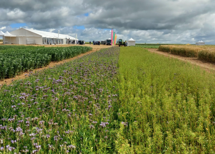Agora des Collèges 2026 : une journée au cœur de l&rsquo;agroécologie et des métiers de l&rsquo;agriculture