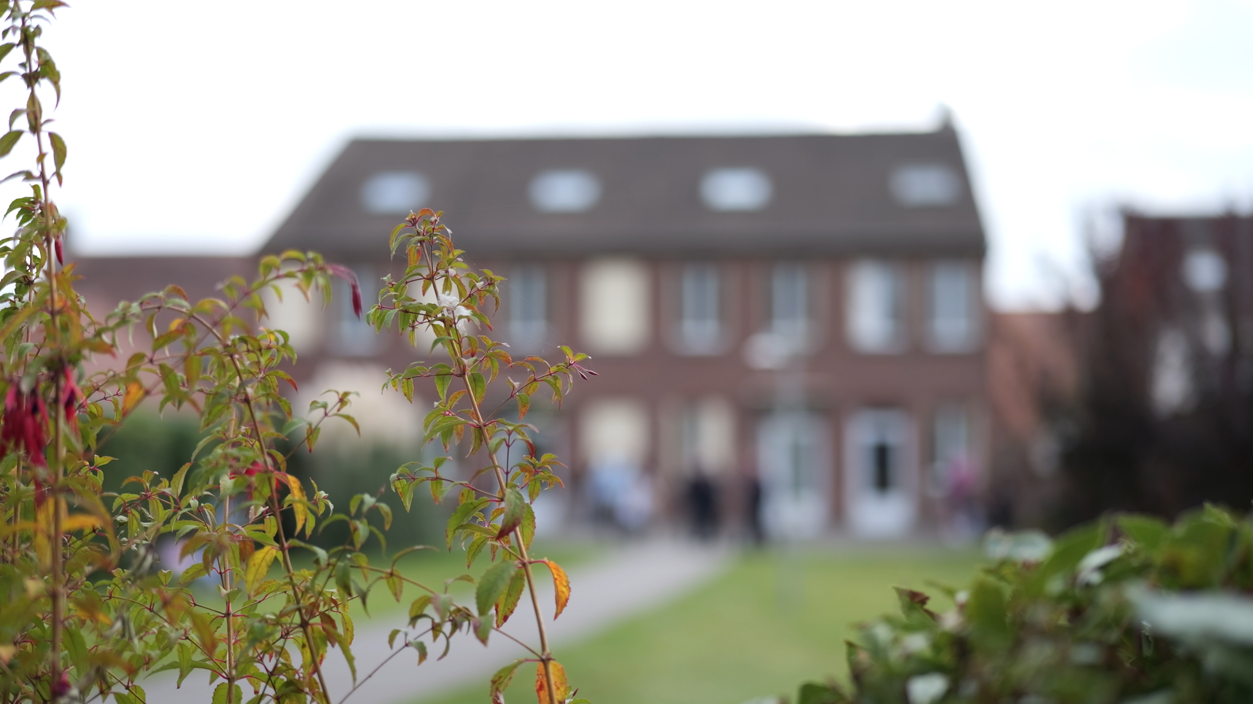 lycee-saint-joseph-lycee- (10)