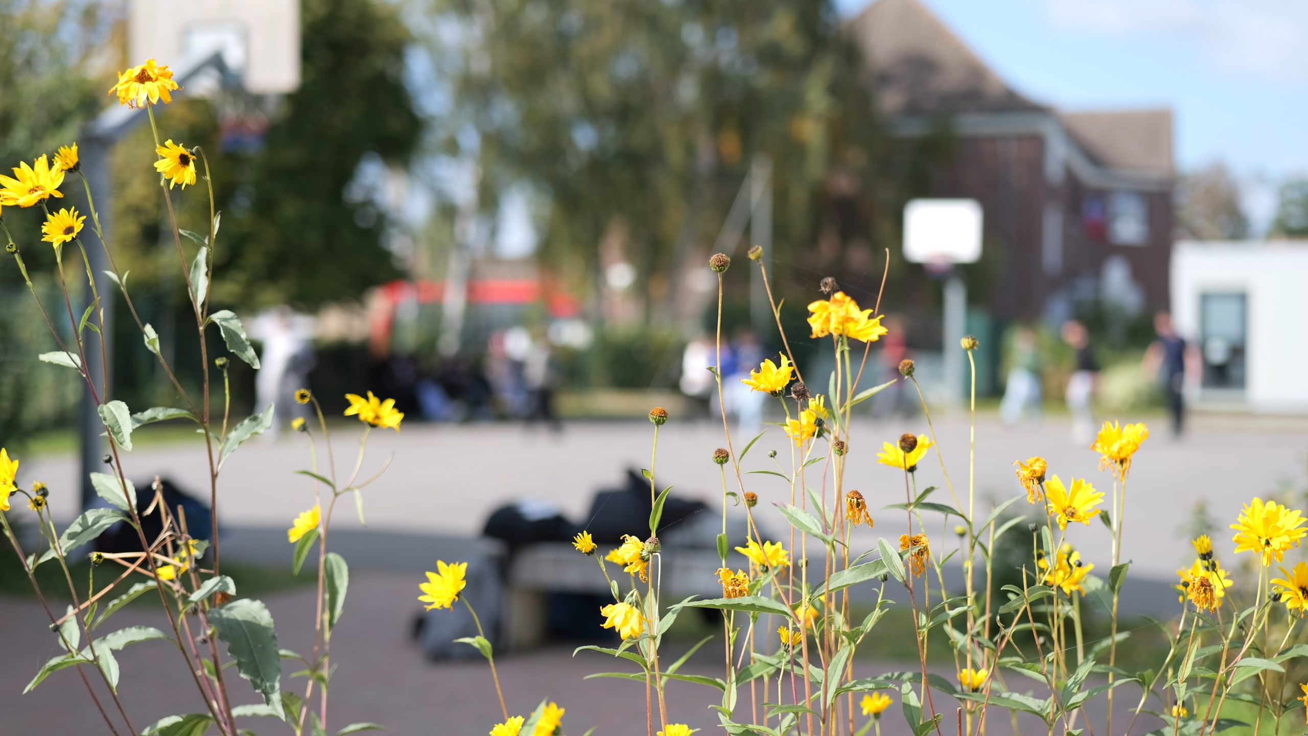 lycee-saint-joseph-lycee- (13)