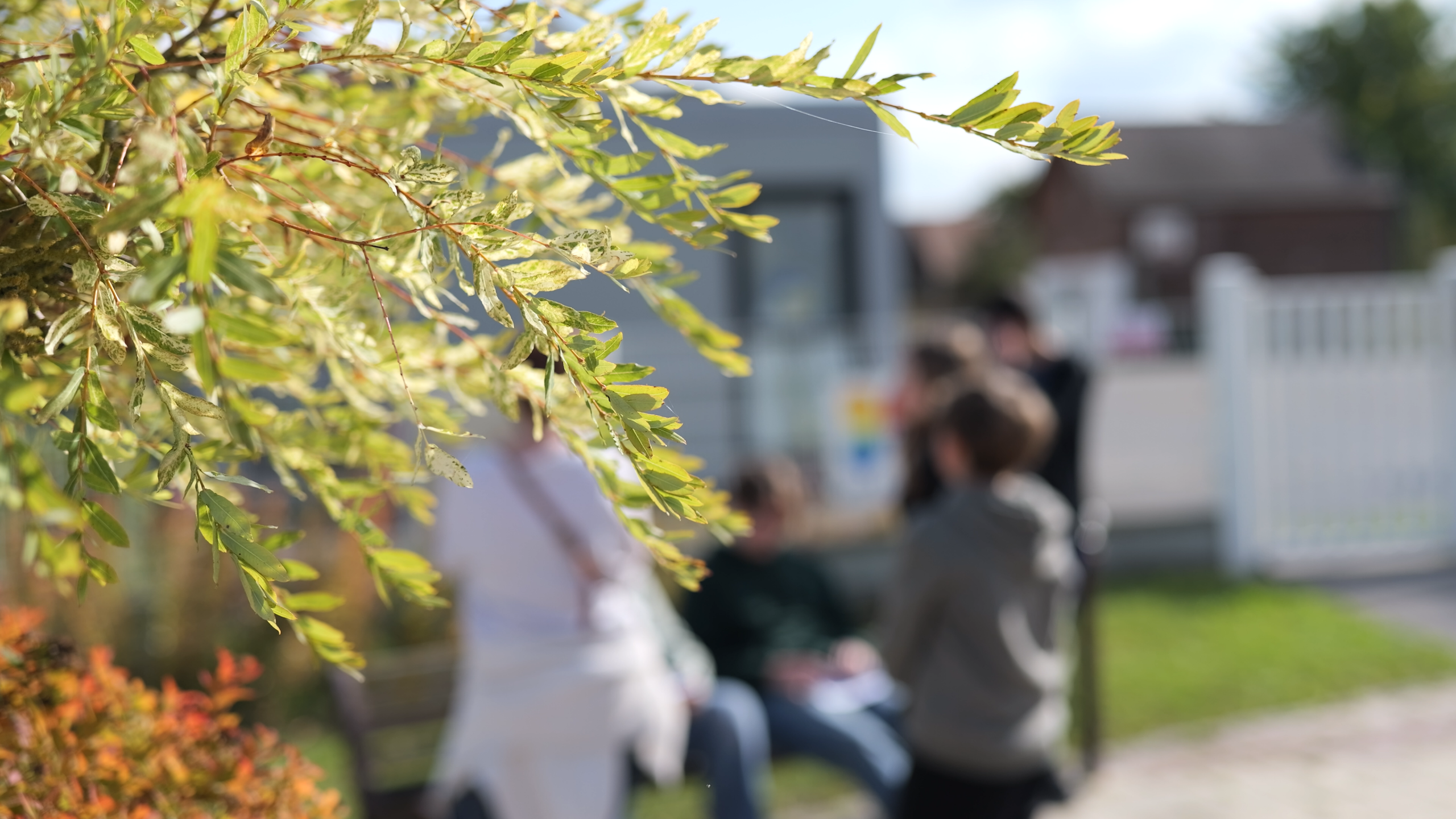 lycee-saint-joseph-lycee- (14)