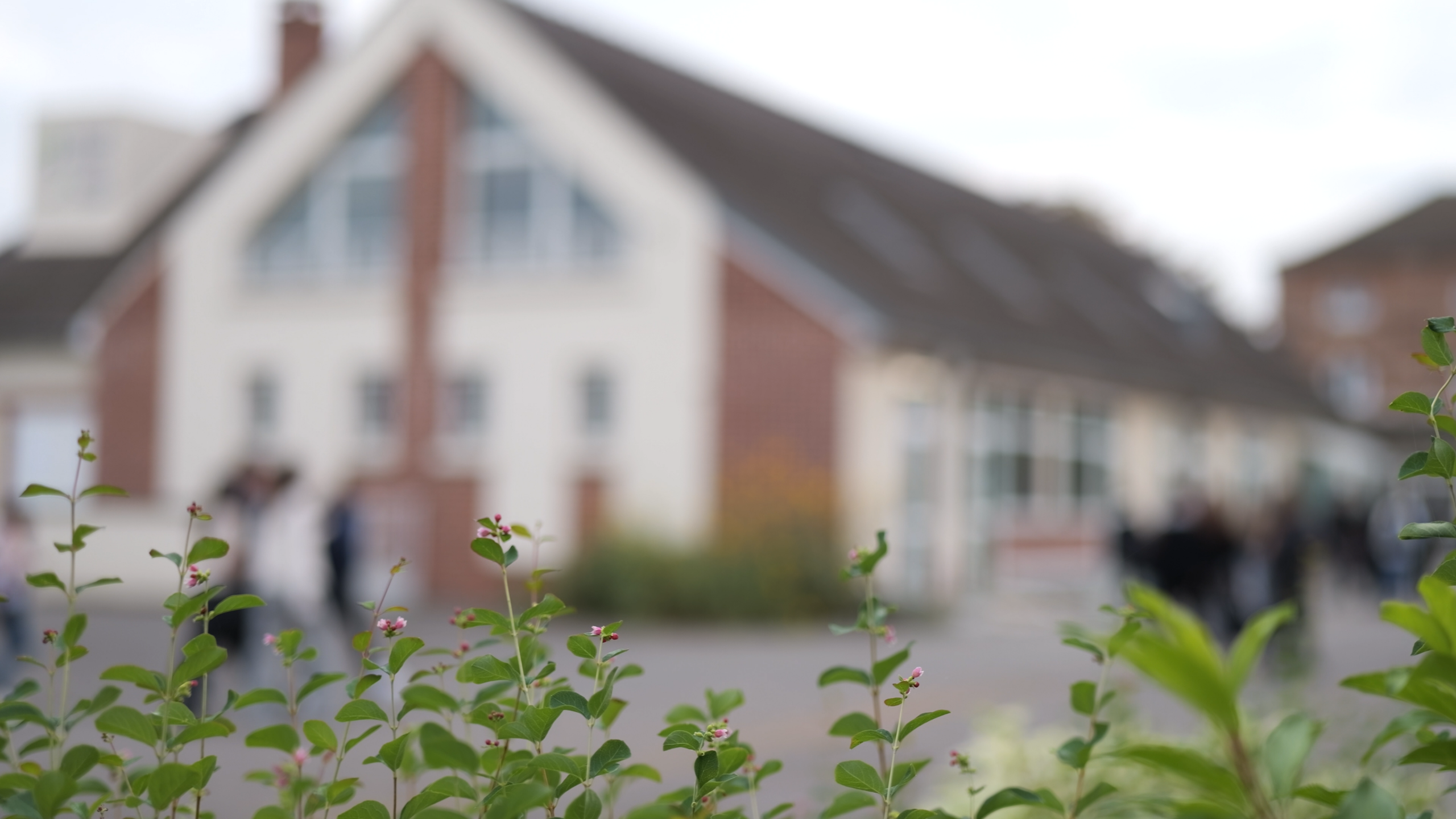 lycee-saint-joseph-lycee- (7)