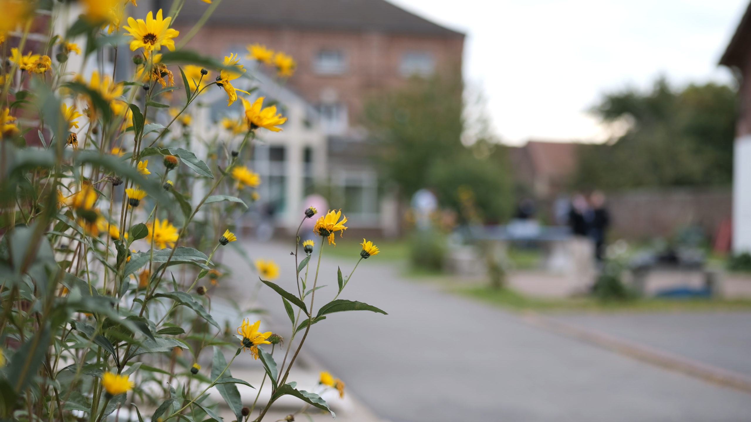 lycee-saint-joseph-lycee- (8)