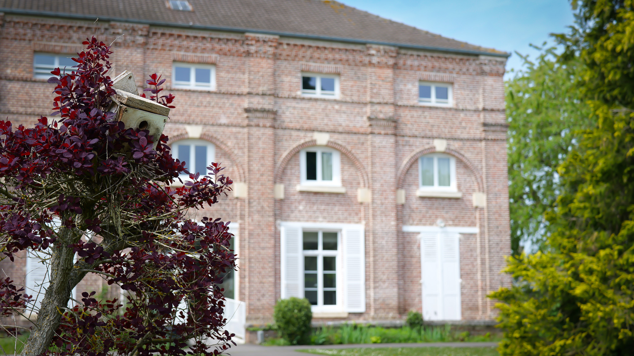 lycee-saint-joseph-lycee- (9)